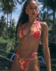 Image of Farida Bikini Bottom in Sketchy Hibiscus Burgundy