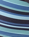 Stripe Blue