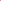 Image of Carina Crop Top in Satin Zebra Fuchsia
