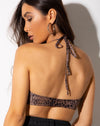 Image of Jeppa Bralette Top in Mesh Gradient Cheetah Brown
