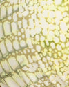 Croc Green