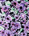 Lilac Blossom