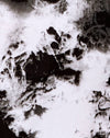 Mono Tie Dye Black and White
