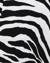 Huge Zebra