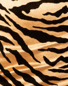 Tiger Gold