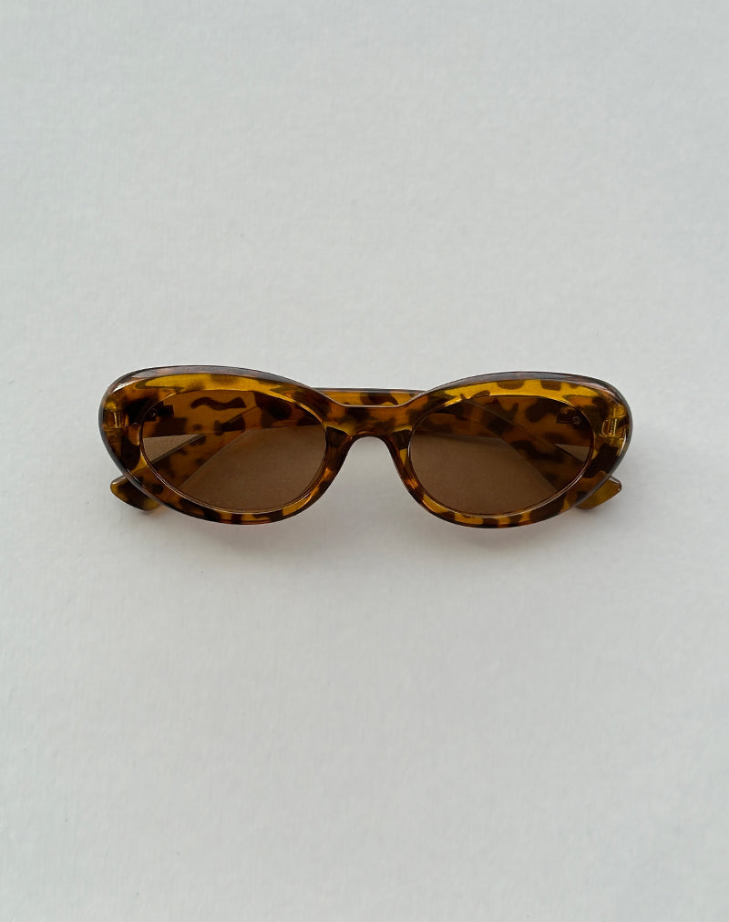 Aldabra Oval Sunglasses in Tortoise Shell