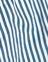 Small Stripe Vertical Blue