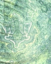  Paisley vert abstrait