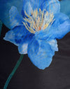 Black with Blue Watercolour Flower