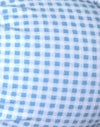 Blue Gingham