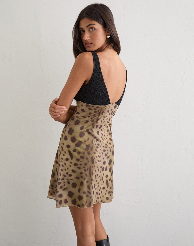 Image of Aemma Mini Dress in Black and Mesh Large Leopard Brown