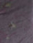 Flor de bengala morada