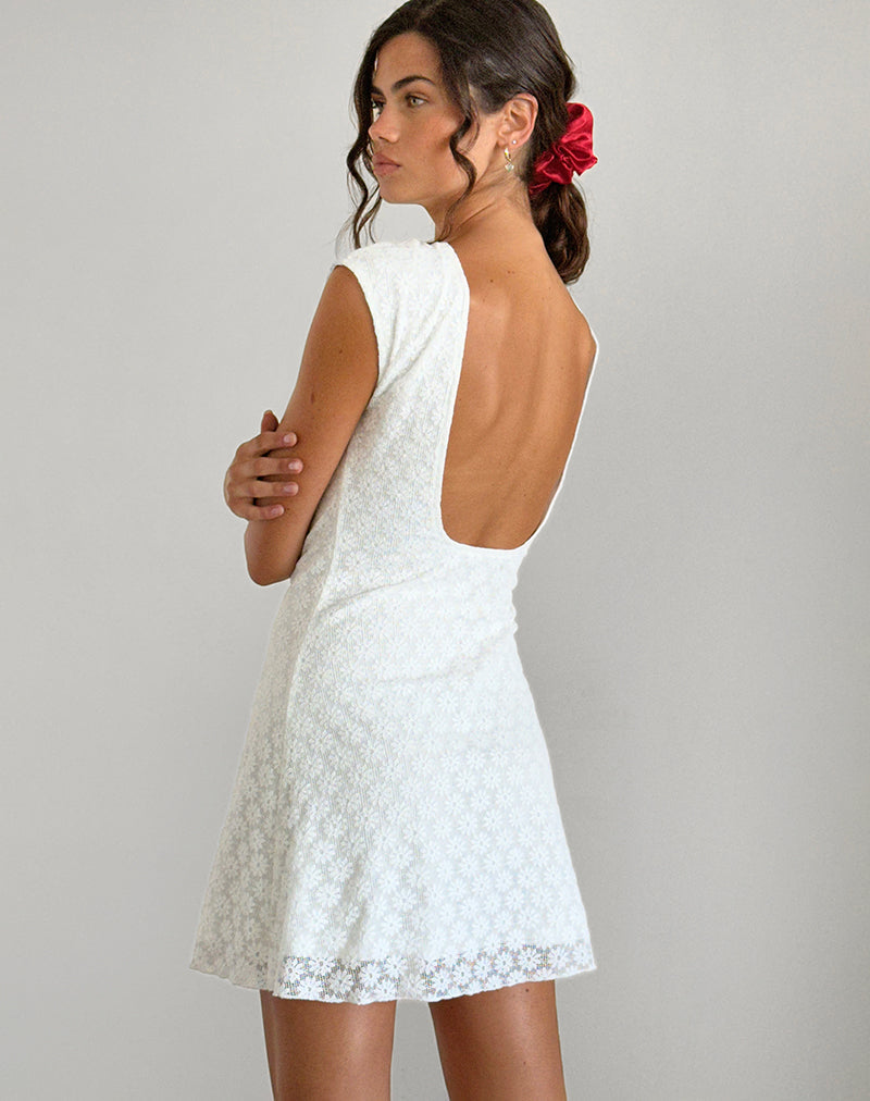 image of Ambu Mini Dress in Floral Lace Ivory