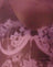 burgundy lace bra scan