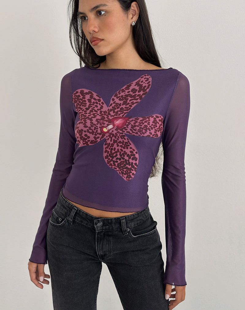 Armali Langarmshirt in leuchtendem Orchideenviolett