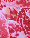 Orchid Pink