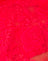 Big Rose Red