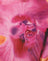 Blurred Orchid Peach