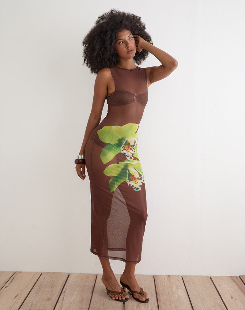 Image of Fay Maxi Dress in Brown with Green Dendrobium Flower