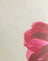  Cream with Red Watercolour Flower