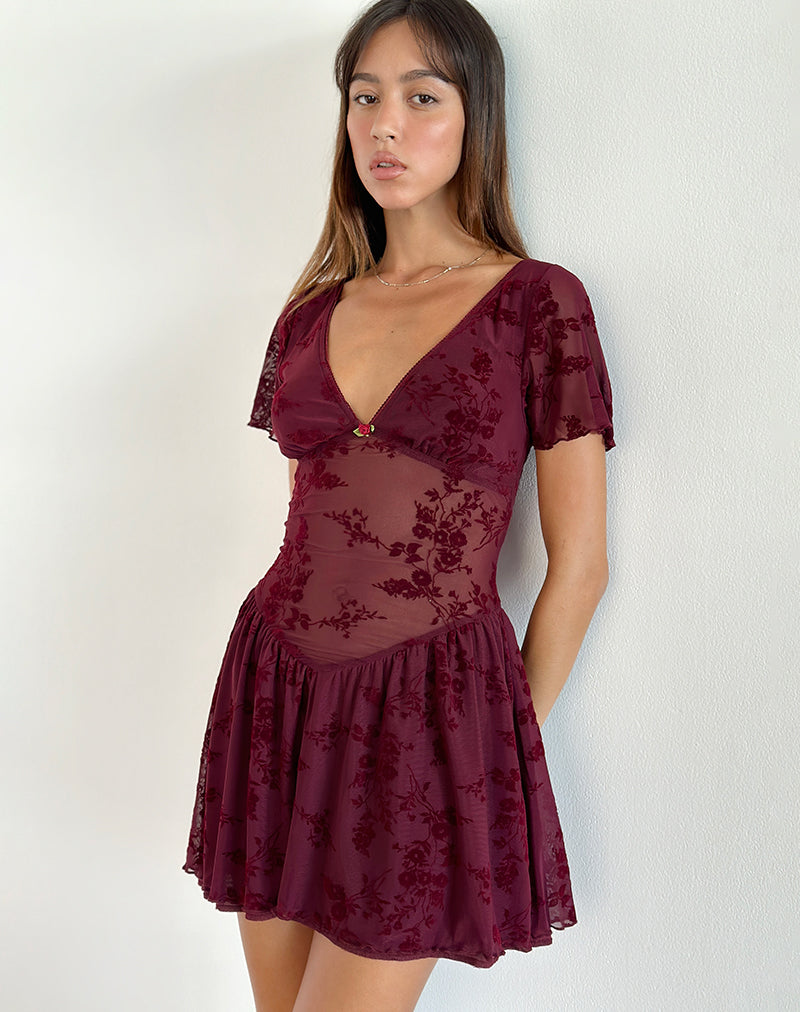 Geni Mini Dress in Botanical Flower Maroon