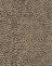  Tan Mini Croc Print