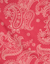 Retro Paisley Pink