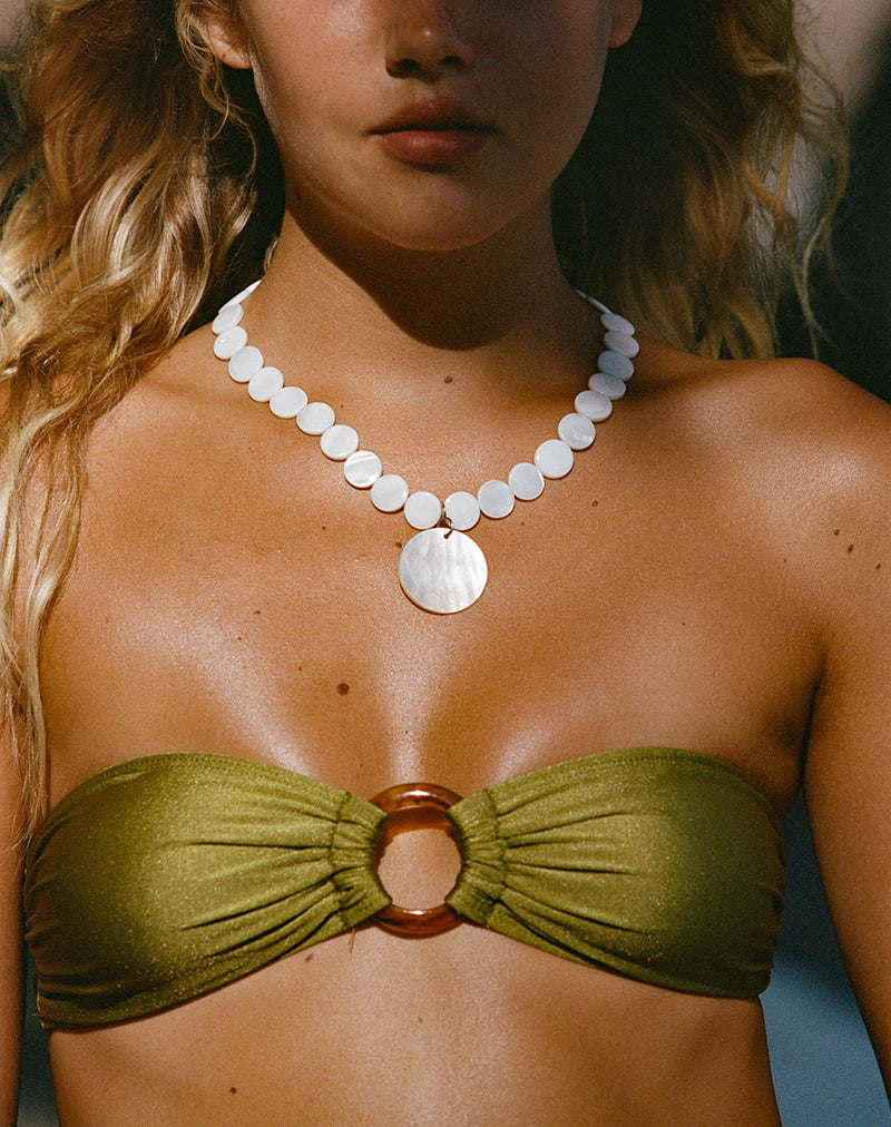 Large Circle Shell Necklace