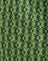  Wavy Daisy Green