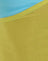 Baby Blue and Mustard