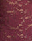 Lace Burgundy with Pink Binding