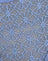 Floral Lace Blue