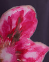 Purple Chiffon with Desert Flower