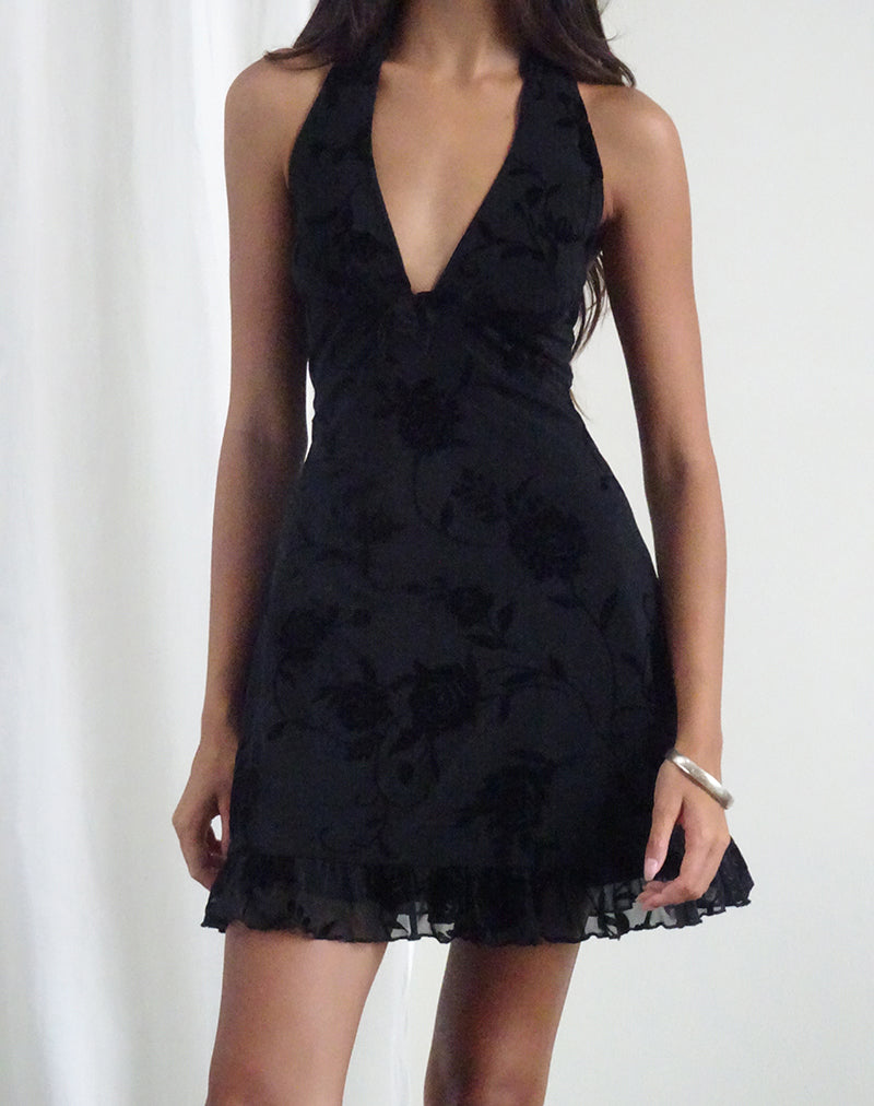 Image of Motya Halterneck Mini Dress in Floral Rose Flocked Black