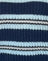 Marineblauw en lichtblauw met een zwarte streep