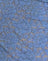 Moonlight Blue Lace