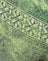 Green Abstract Paisley