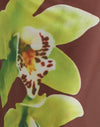 Brown with Green Dendrobium Flower