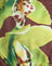 Brown with Green Dendrobium Flower