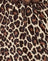  Leopardo Rar