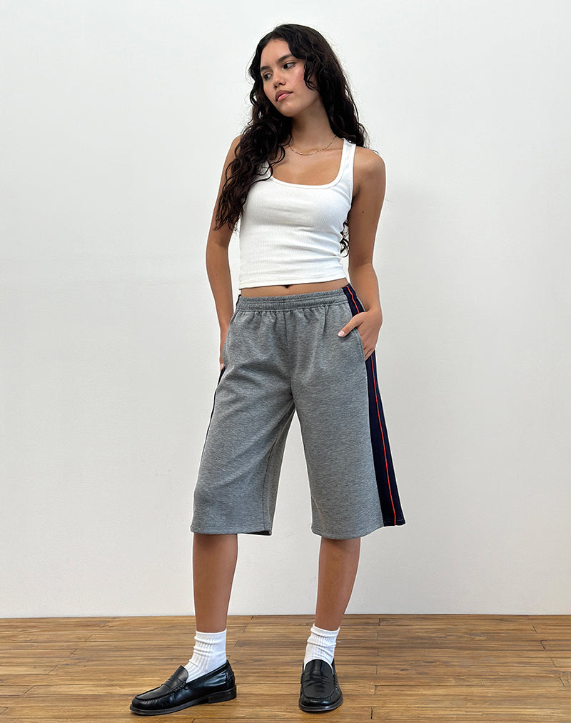 image of Ridley Side Stripe Shorts in Grey