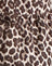  Leopardo Tempesta di sabbia
