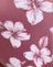 Hibiscus Floral