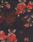 Schwarz Aquarell Rose