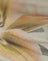 Yellow Lily Print