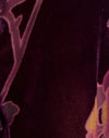 Floral Devore Burgundy