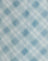 Blurred Check Blue
