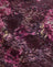 Abstract Rosa rosa e prugna