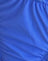  Azul real