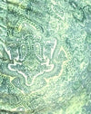  Abstract Green Paisley